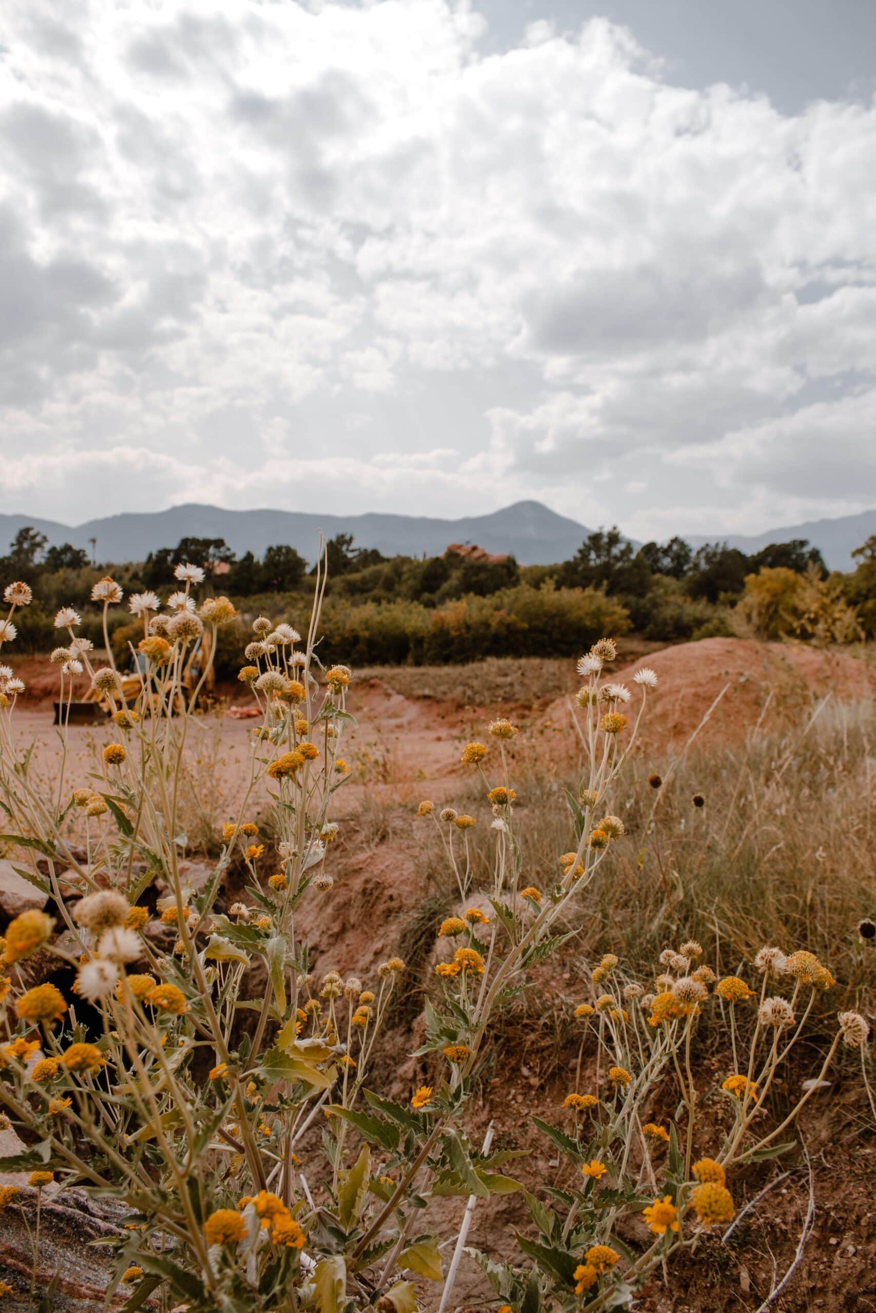 %das selbe in grün - seecondhand online%