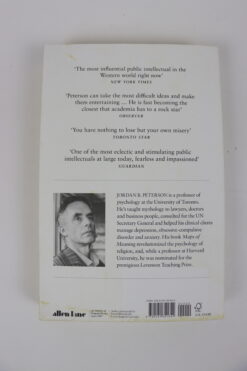 Alternative view of 12 Rules of Life of Jordan B. Peterson (EN)
