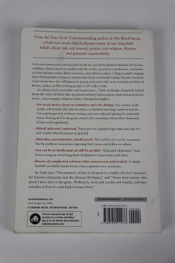 Alternative view of Skin in the Game of Nassim Nicholas Taleb (EN)