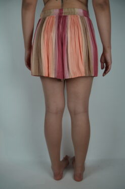 Alternative view of Shorts Gr. ca M